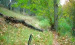 DSCN0404.JPG