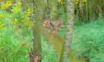 DSCN0403.JPG