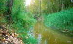 DSCN0402.JPG