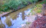 DSCN0400.JPG