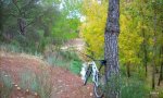 DSCN0397.JPG