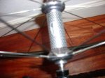 zipp4.jpg