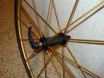 DSC01469.jpg