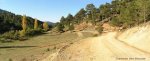 PA180106aa_resize.jpg