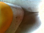 Imagen0414.jpg