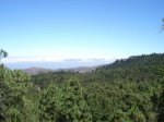 DSC00606.JPG