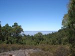 DSC00610.JPG