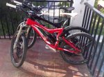 specialized.jpg