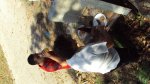 DSC00442.jpg