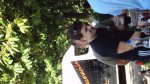 DSC00445.jpg