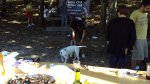 DSC00449.jpg