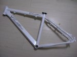Cadillac Frame.jpg