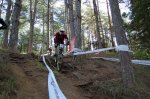 DSC_0033.jpg