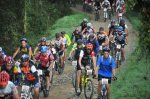 latrinxa2009_10024.jpg