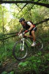 latrinxa2009_100279.jpg