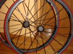 DSC05150.JPG