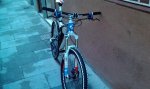 IMAG0330.jpg
