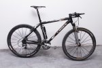 bici.JPG