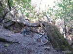 mtb - fuente de los arrieros 014.jpg