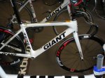 TCR 006.jpg