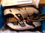 DSC00330.jpg