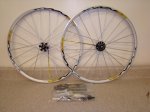 mavic_1.jpg