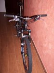 100_5277.jpg
