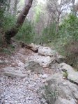 IMG_0047.JPG