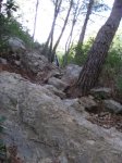 IMG_0065.jpg