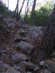 IMG_0066.jpg