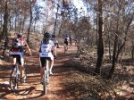 IMG_4988.jpg