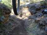 DSC01505.jpg