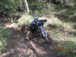IMG_0337.jpg