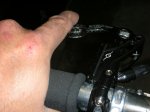 DSCN5623.jpg