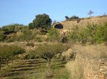 salida 24-10-09 008.jpg