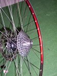 100_0510.jpg