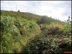 IMG_2761 (Copiar).jpg