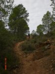CIMG4838.jpg
