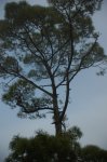 DSC_4565.JPG