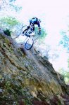 1514176d1256402134-censo-lapierre-froggy-fotos-opiniones-cuestiones-todo-lo-que-se-os-ocurra-pac.jpg
