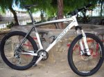 stumpjumper y scale 001.jpg