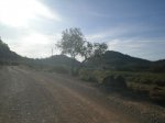 Imagen 007_1024x768.jpg