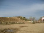 IMG_7806.JPG