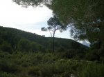 Imagen 036_1024x768.jpg