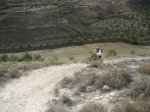 IMG_7821.JPG