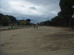 PICT0604.JPG