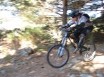 IMG_2312.jpg