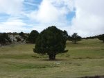 P1000201.JPG