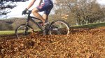 bici04_1024x575.jpg