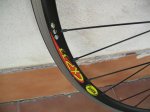 rueda3.JPG